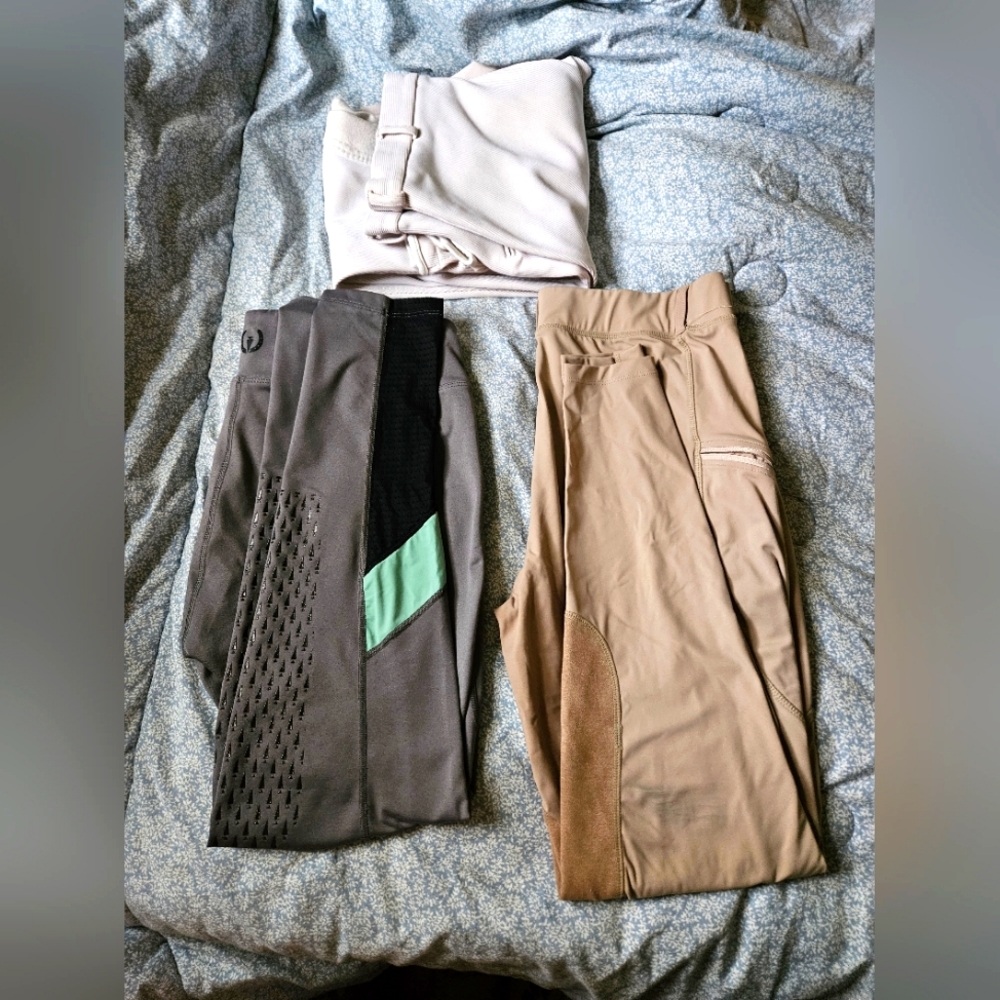 Riding pants